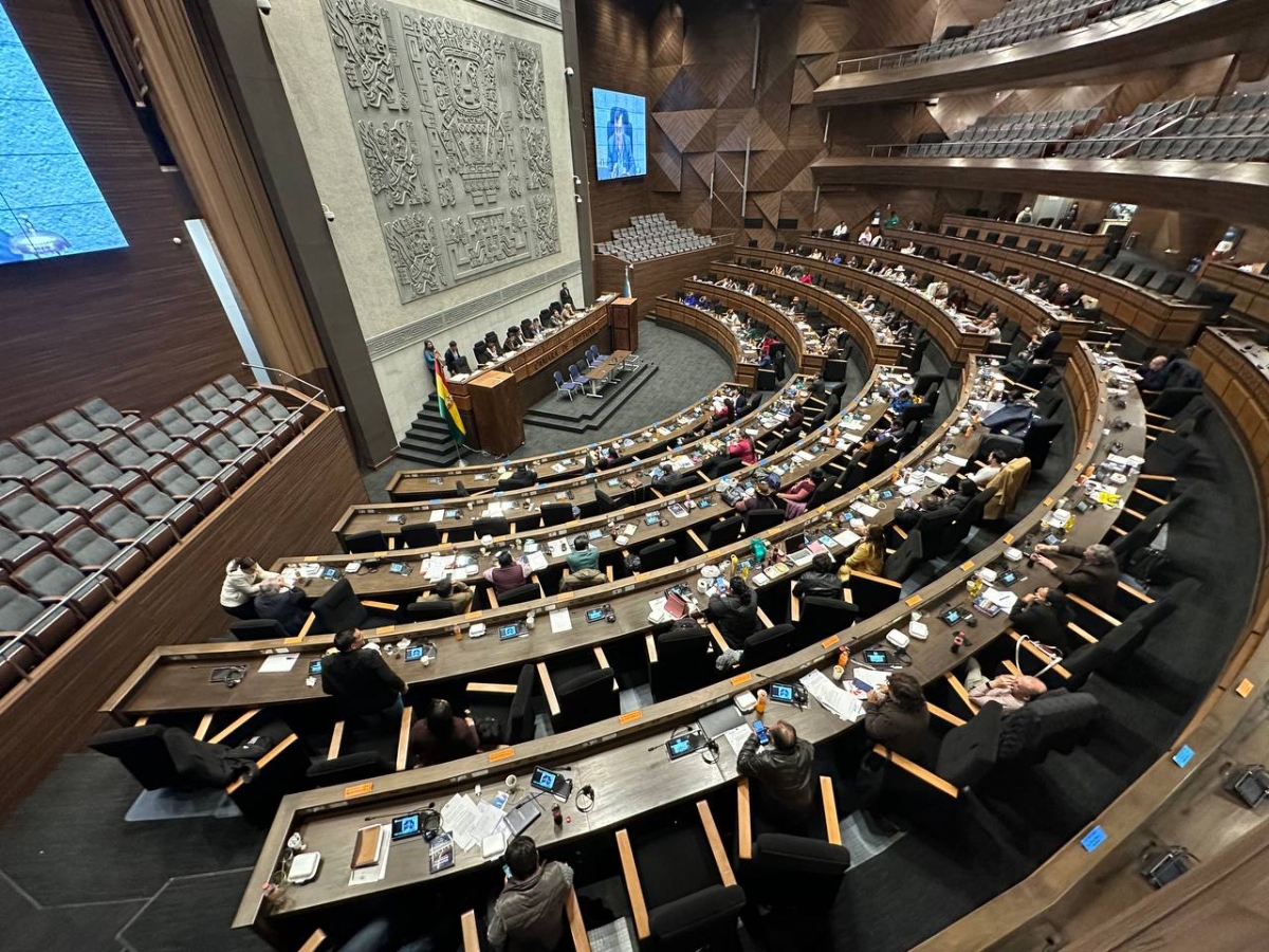 Otra deuda que se carga al pa铆s, la C谩mara de Diputados aprob贸 un pr茅stamo de hasta $us 500 millones del BID Otra deuda que se carga al pa铆s, la C谩mara de Diputados aprob贸 un pr茅stamo de hasta $us 500 millones del BID